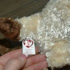 Bild 9 von 11