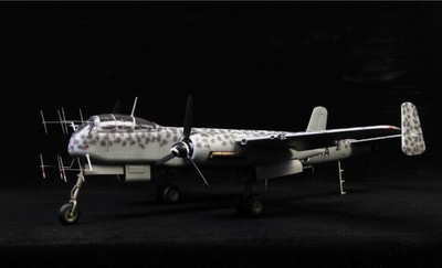 AwardWinner Built Revell1/32 Heinkel He-219 A-7 Uhu 