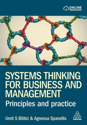 Systems Thinking for Business and Management Principles and Practice Taschenbuch