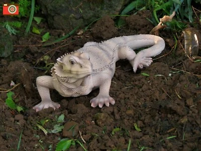 BEARDED DRAGON LIZARD LIFE SIZE , Stunning Home & Garden Ornament. Vivid Arts