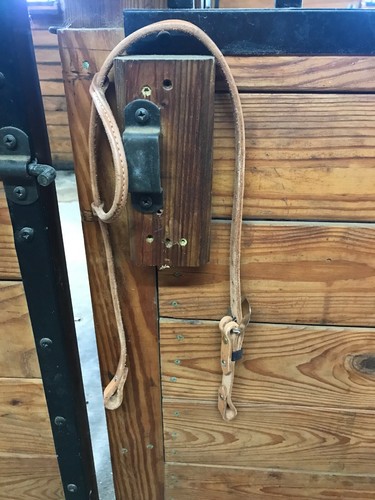 Nuovo Headstall Western orecchio singolo pelle colore chiaro spedizione gratuita negli Stati Uniti HR 1 - Foto 10 di 10