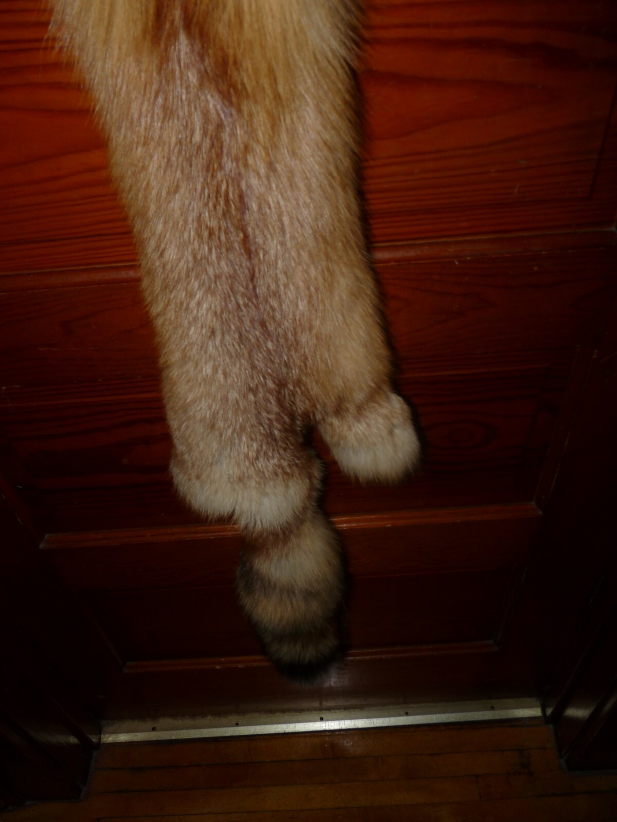 Bild 2 von 4