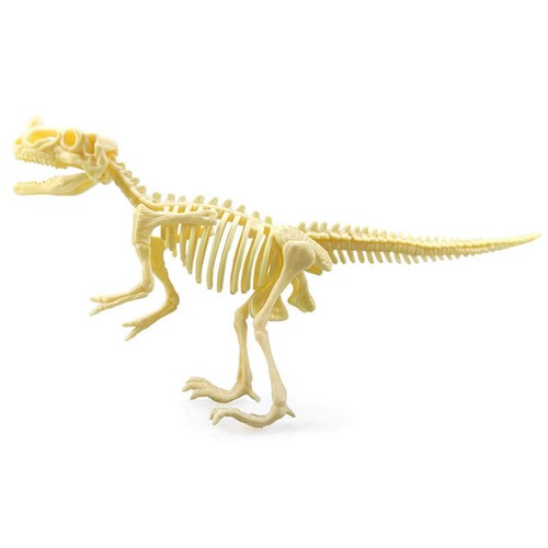 7 Stücke Dinosaurier Skelett Modell Spielzeug Dinosaurier Skelett Figuren - Bild 6 von 7