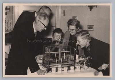 Family Feeding Joyful Budgie - Vintage Photo 1950s