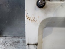 Porte arrière et accessoires Citroen C15