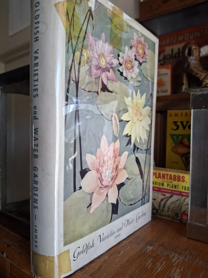 复古水族箱原装 Innes 金鱼品种和水上花园/防尘夹克 — 第 4/4 张图片