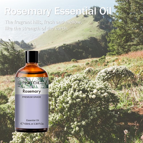 PHATOIL Rosemary Essential Oil 100ML,Natural Aromatherapy Oils for Hair Care - Picture 2 of 11