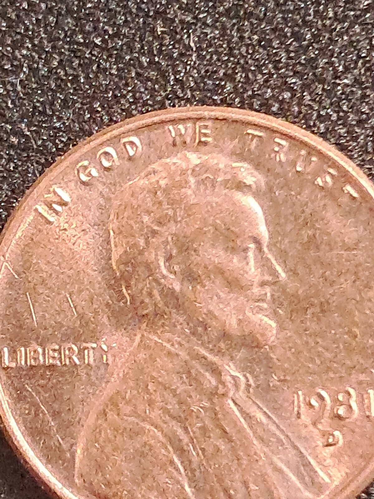 Picture 13 of 15