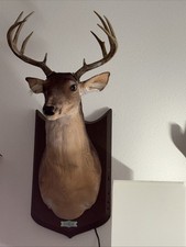 2004 Gemmy "The Buck" Animated Mounted Trophy Singing Talking Deer works great 