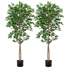 2Packs 5FT Artificial Ficus Trees with Realistic Leaves and Natural Trunk, Fa...