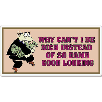 Why Can't I Be Rich Good Looking Hick Redneck Funny car bumper sticker decal 5" 