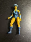 Mattel MOTU Evil Lyn Action Figure Masters of the Universe Vintage Toy