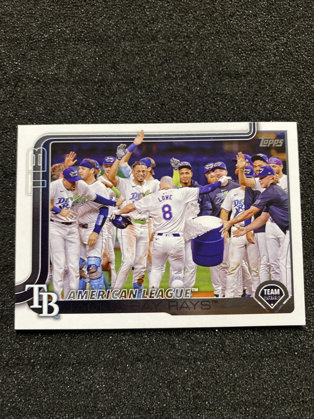 2025 Topps Series 1 Tampa Bay Rays Team Card #294 Baseball Card | eBay