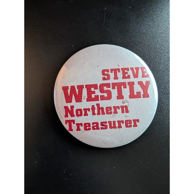 #ad Steve Westly Northern Treasurer Political Campaign Button Pin $9.50