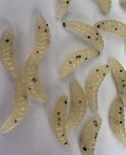  50-7/8   Soft Plastic Panfish Crappie Grubs. Wax Worm, Maggots, Butter worm.