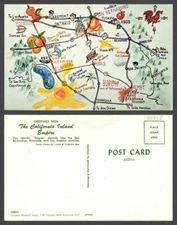 CALIFORNIA CHROME VINTAGE POSTCARD