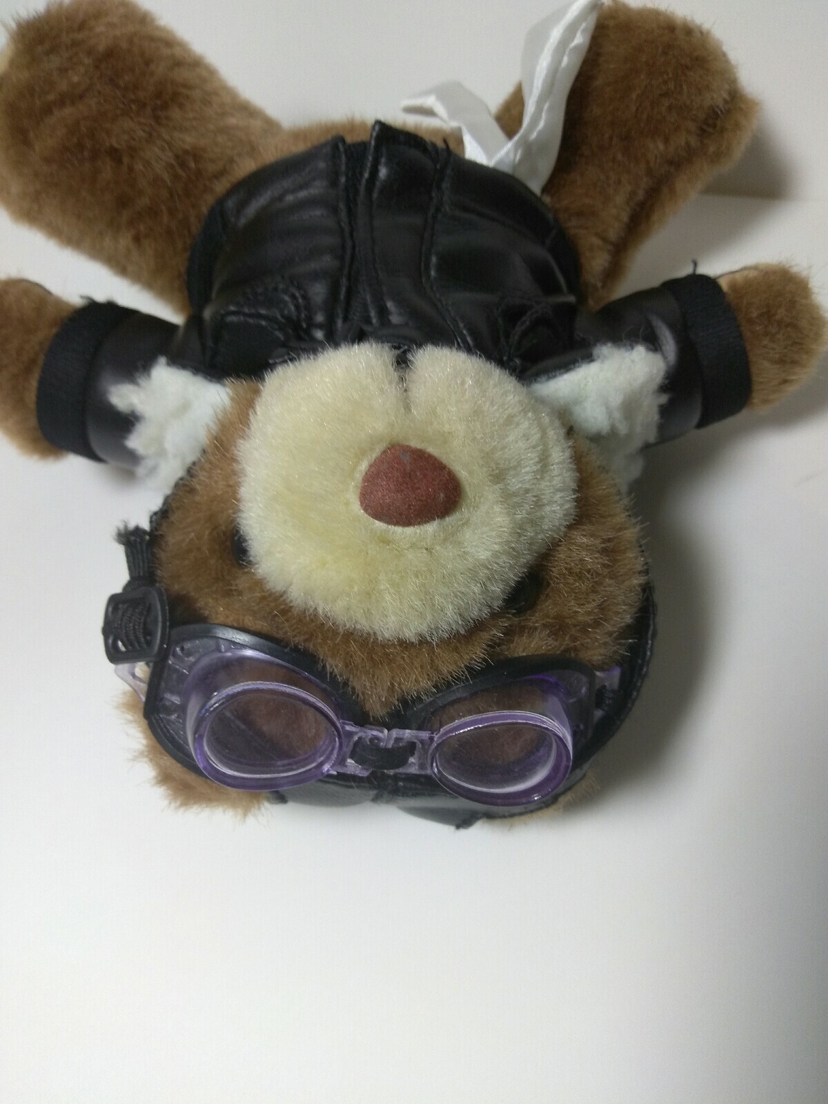 Picture 6 of 7