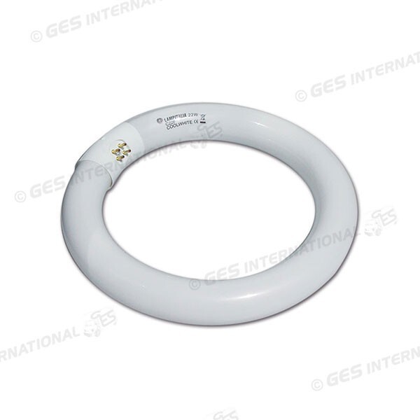 Lampada Circolina Neon 22W per Camper e Caravan