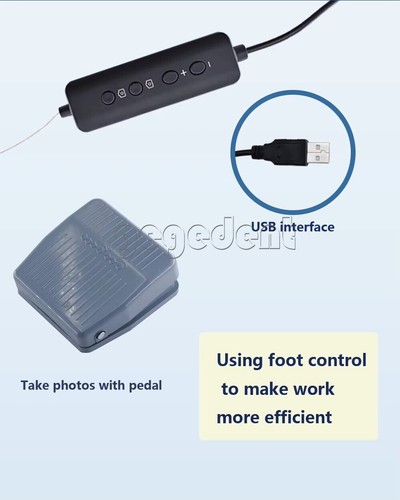 Visualizzazione canale radicolare dentale Mini Micro telecamera intraorale HD LED intra orale - Foto 22 di 24