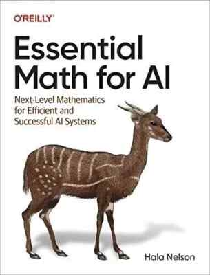 Essential Math for AI Next Level Mathematics for Efficient and Successful