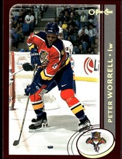 2002-03 O-Pee-Chee #241 Peter Worrell Florida Panthers Factory-Set Hockey Card