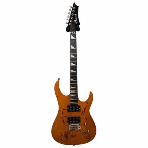 Tool Band Signed Guitar - Afbeelding 2 van 2