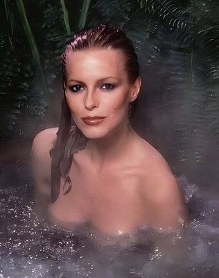  CHERYL LADD  Legendary 80s Actress Famous Star Celebrity 8X10 Glossy  STUNNING 