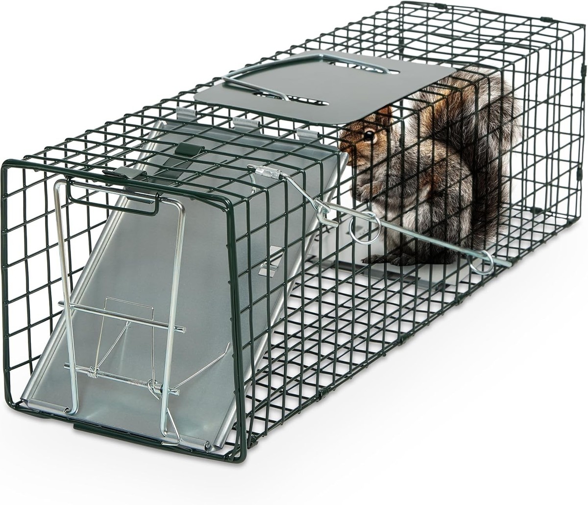 Humane Way Sentinel 24 Inch Live Animal Trap - No Assembly 