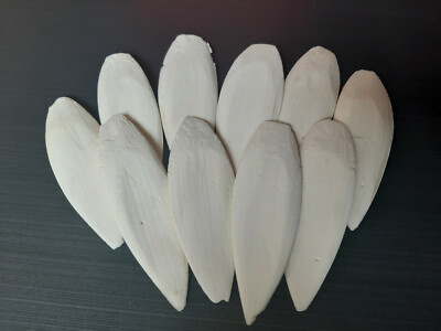 100 Gramm Sepiaschalen, ca. 10 - 12 cm (ca. 10 Stück) / 1A TOP Qualität