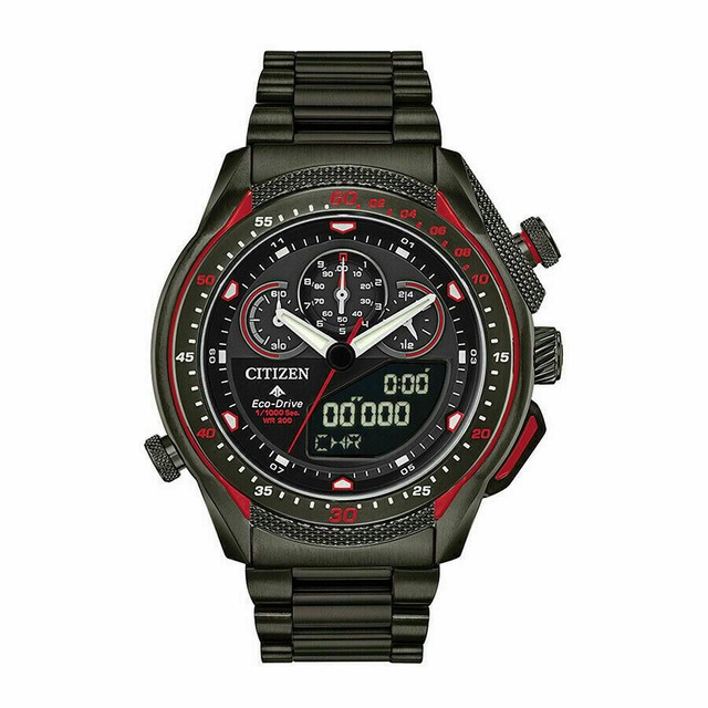 citizen promaster digital
