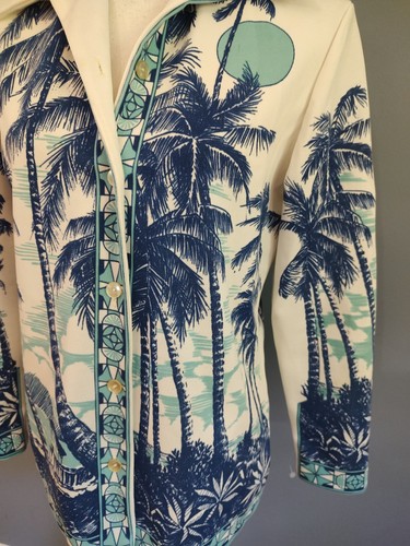 70s Vintage Shirt Accent Palm Tree Beach Topical Sunset Poly Point Collar Sz 36 - Picture 10 of 12