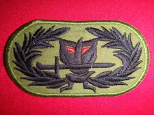 Vietnam War South Korea ROK Army RANGER Patch