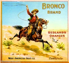 Redlands San Bernardino County Bronco Orange Citrus Fruit Crate Label Art Print
