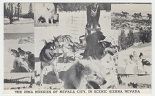 CALIFORNIA NEVADA CITY ZIMA HUSKIES POSTED 1963 TO THE BAINES OF LOS ANGELES
