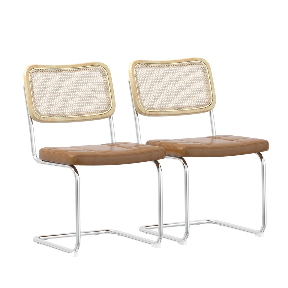 Rattan Dining Chairs Set of 2/4, Modern Side Chairs for Dining Room ...
