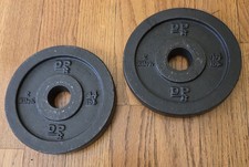 2 DP 2Kg 4.4Lb Standard 1  Weight Plates 8.8 LBS Total Very Good Vintage China