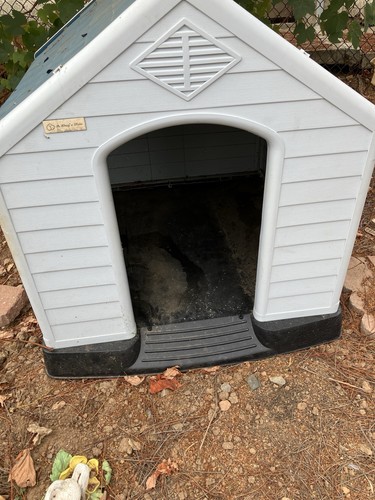 dog houses for large Dog 