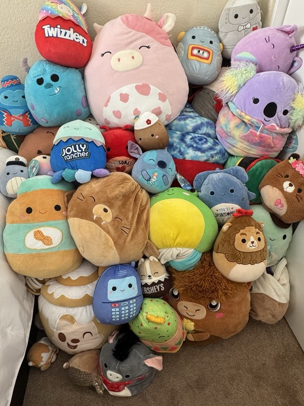 Squishmallows Plush Stuffed Animals Mixed Lot , selling all together