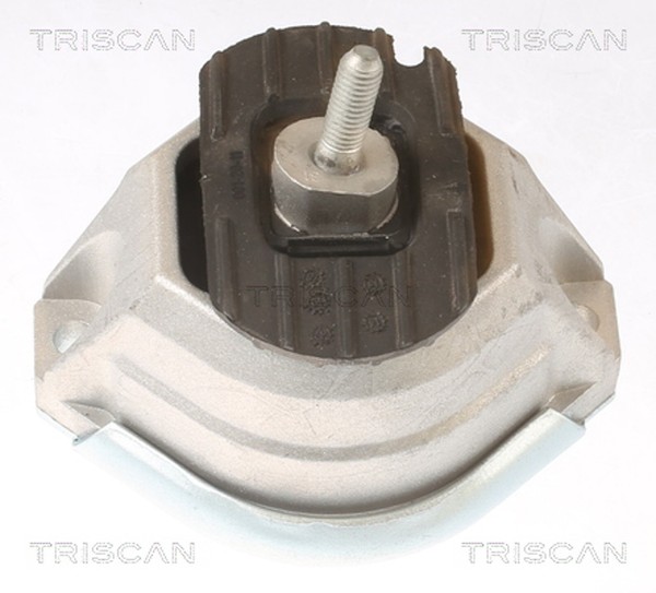 Motorlager Triscan 8505 11114 FüR BMW 5Er Touring E61 E60 6Er E64 E63 520 523-image