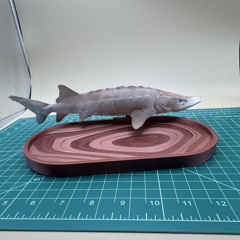 Fish Figurine Sculpture Collectible Display Model on Decorative Display Base