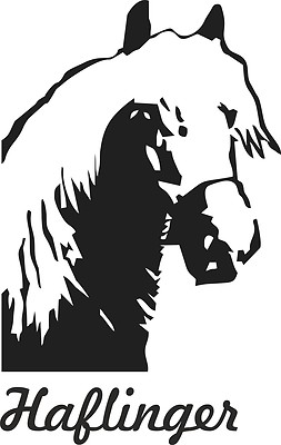Car sticker Haflinger also for horse trailer. Various colours and size