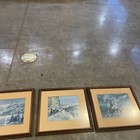 Foto 9 di 12
