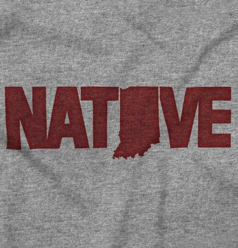 Indiana Native Indy IN Classic Souvenir Gift Youth Crewneck T Shirts Boy or Girl - Picture 2 of 9