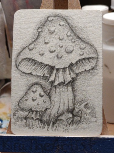 ACEO Original Art Mushrooms Graphite Drawing Forest Nature 