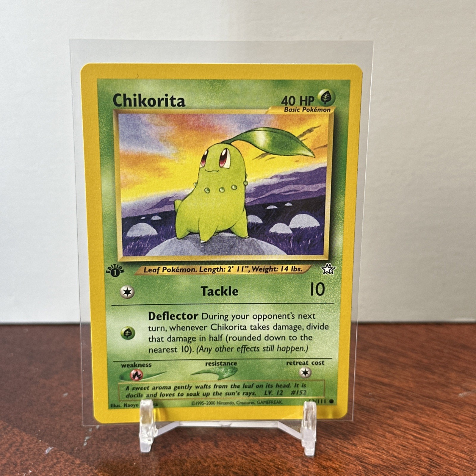 Pokemon Card - 1st Edition Chikorita - (53/111) Neo Genesis Common TCG 2000 NM