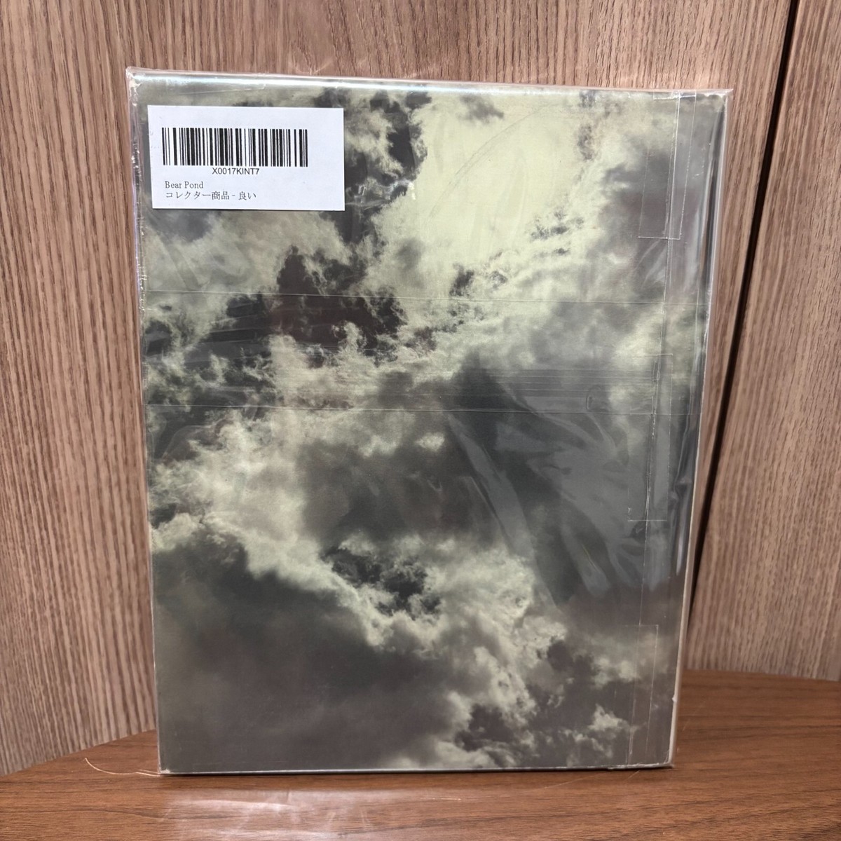 Bear Pond Bruce Weber Photography Book Hardcover 1990 Used