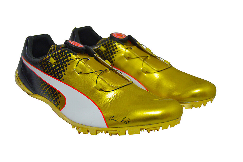 puma evospeed disc 3