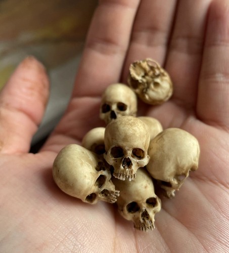 1/12 Human Skull Skeleton Model for6" Action Figure Accessory Scene Prop - Picture 13 of 14