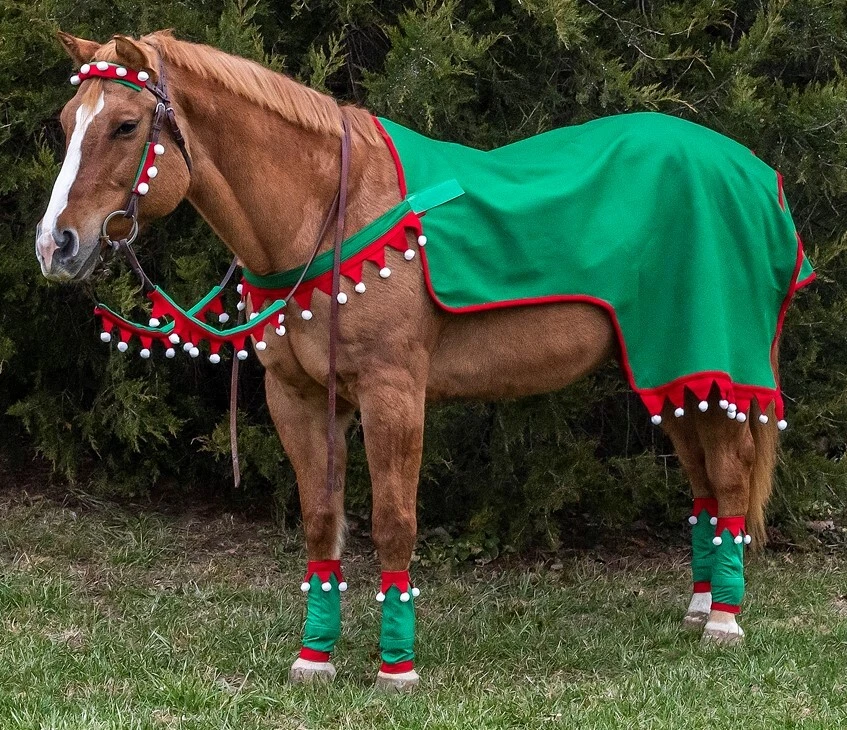 Pom-Poms For Crafts Assorted Colors & SIzes Horse Equine Christmas