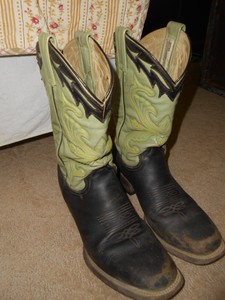 stetson boots ebay